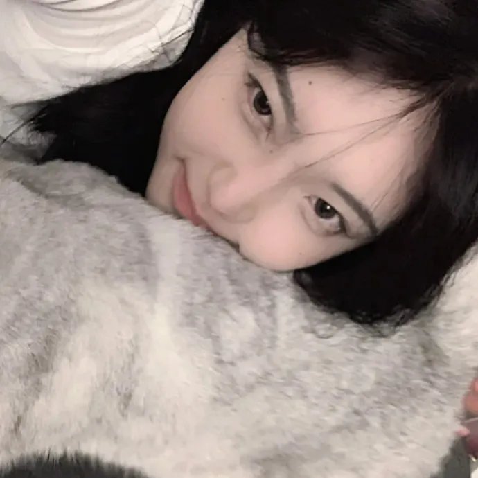 鸟与蜜蜂