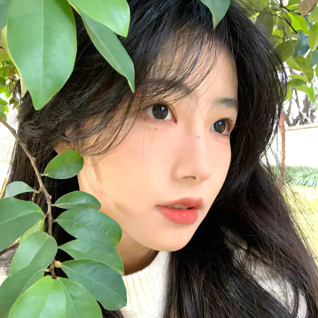 以色列铁娘子：梅尔夫人