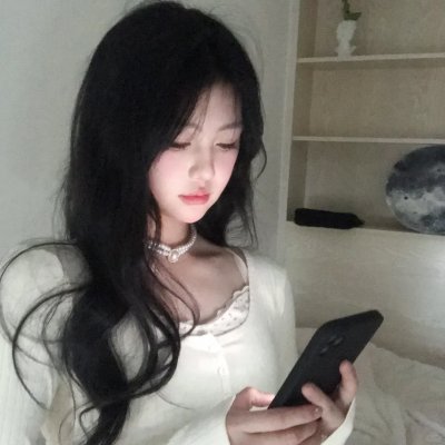 北极大冒险